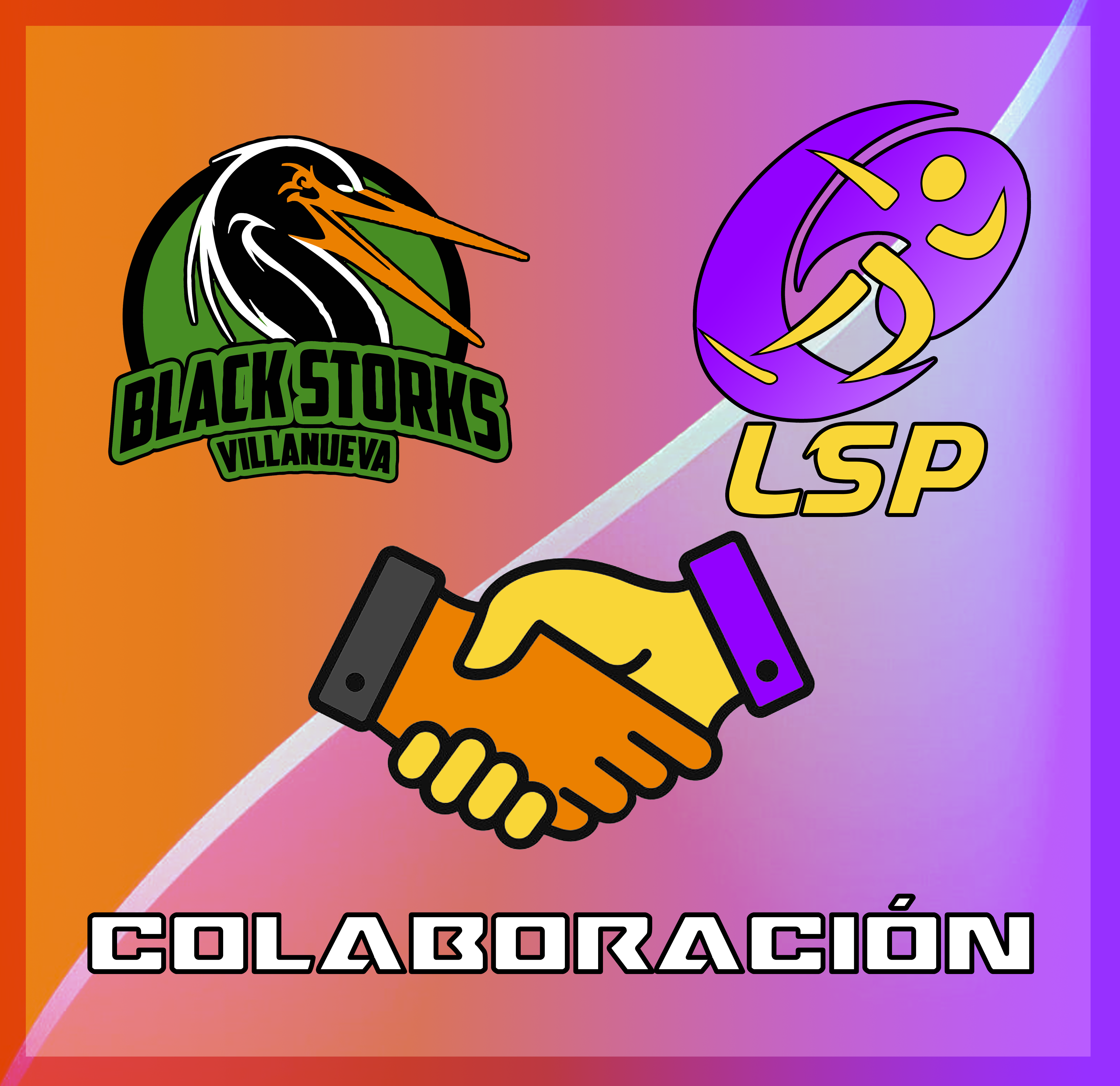 COLABORACION LSP VBS