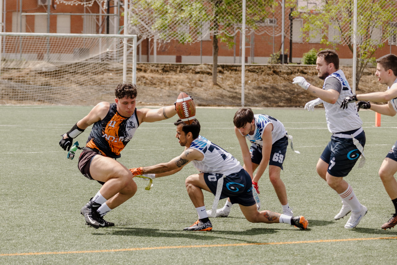 photo_2024-04-08_20-01-34